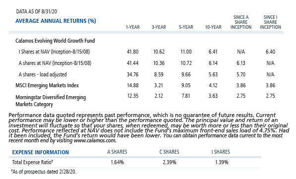 evolving world growth average annual returns and expense ratio 8-31-20