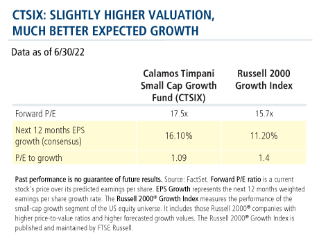 ctsix slightly higher valuation much better expected growth