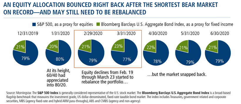 an equity allocation bounced right back
