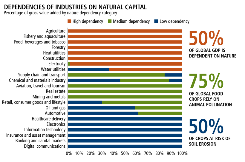 dependencies of industries on natural capital