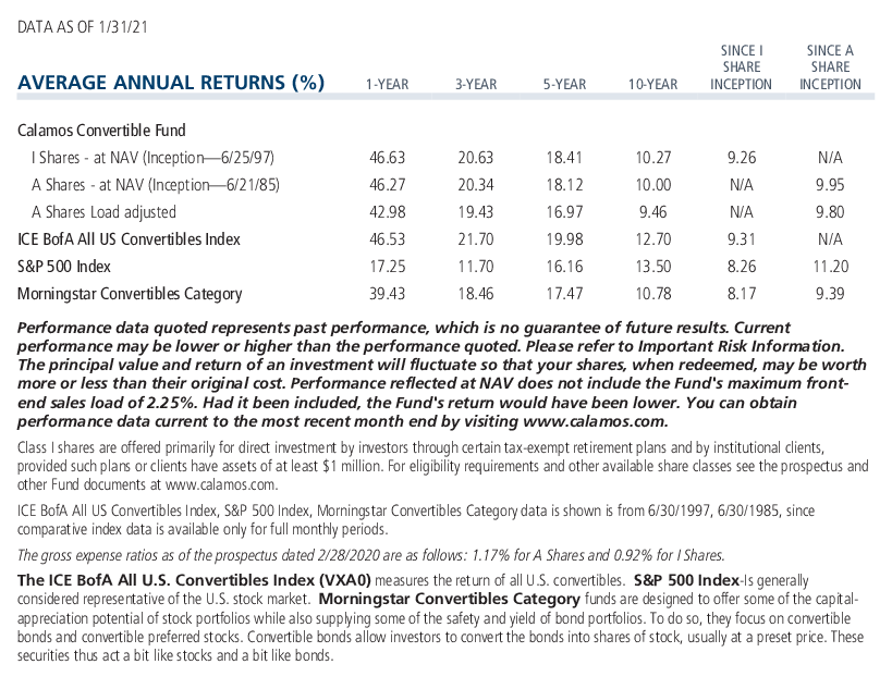 Convertible average annual returns and expense ration 1-31-21