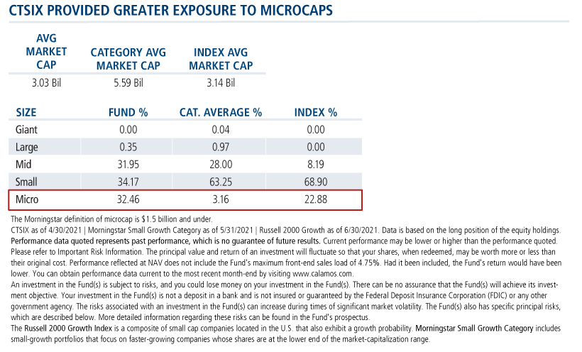 ctsix provided greater exposure to microcaps
