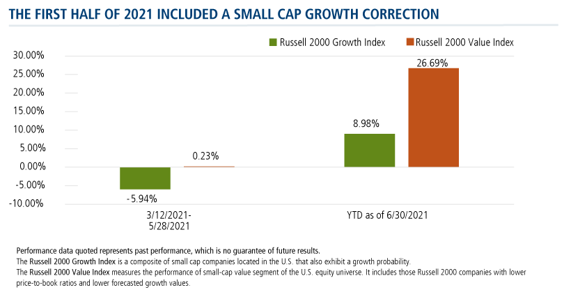 the first half of 2021 included a small cap growth correction