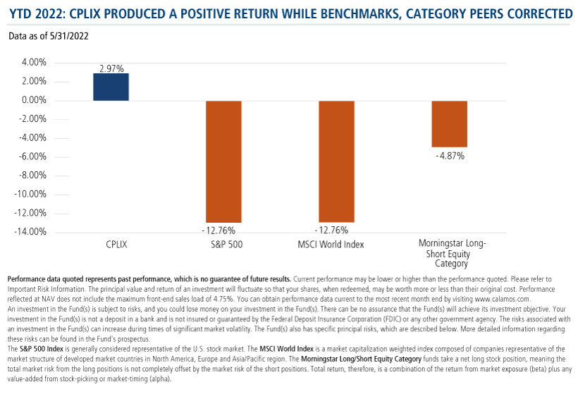 ytd 2022: cplix produced a positive return while benchmarks, category peers corrected