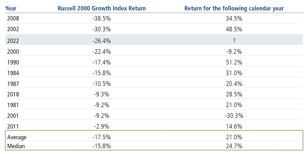 small cap growth stocks annual returns