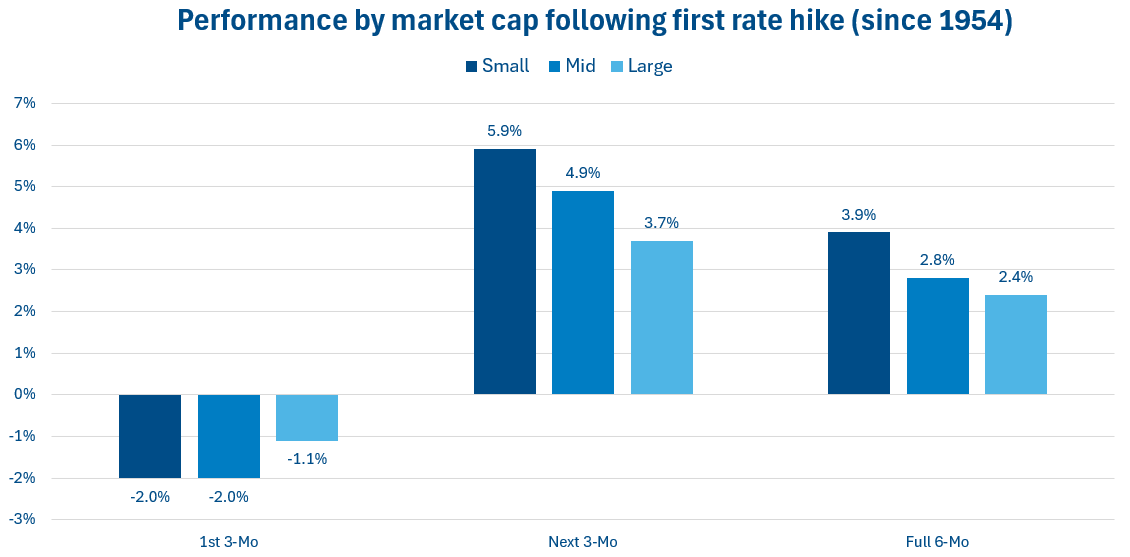 performance by market cap following first rate hike
