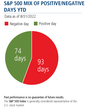 S&P 500 mix of positive negative days ytd