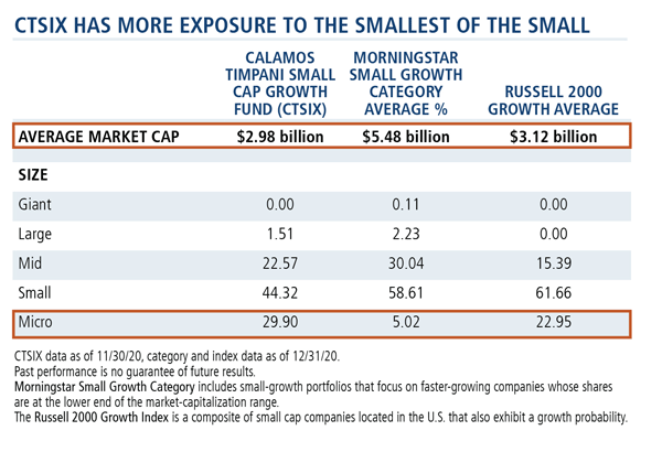 ctsix has more exposure to the smallest of the small