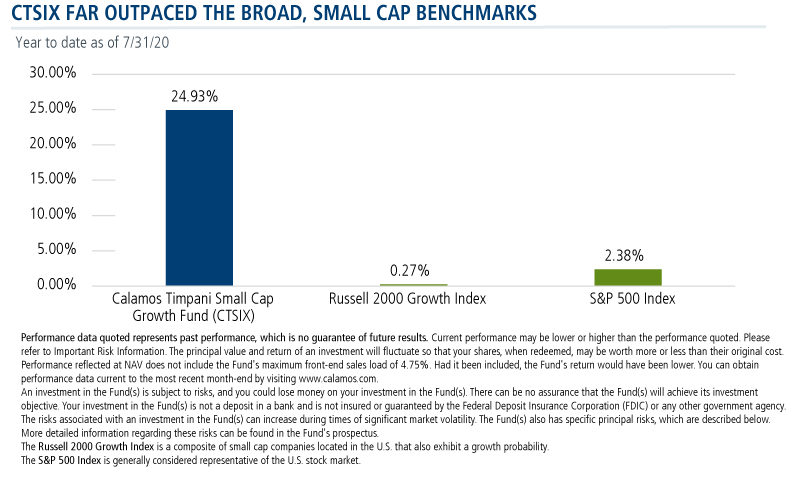 ctsix far outpaced the broad small cap benchmarks