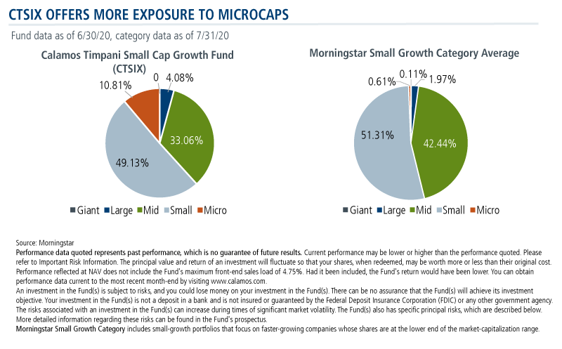 CTSIX offers more exposure to microcaps