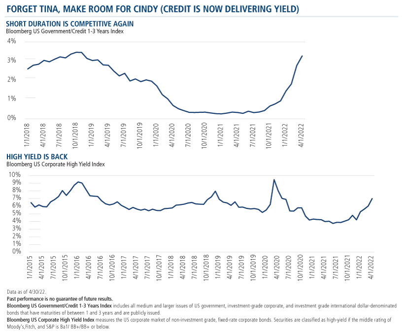 forget TINA, make room for CINDY (Credit Is Now Delivering Yield)