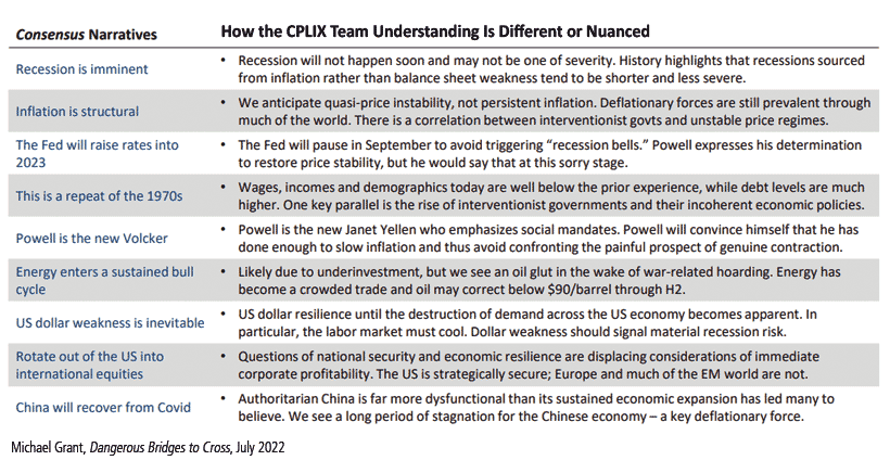 how the cplix team understanding is different