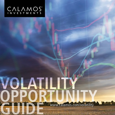 volatility-opportunity-guide