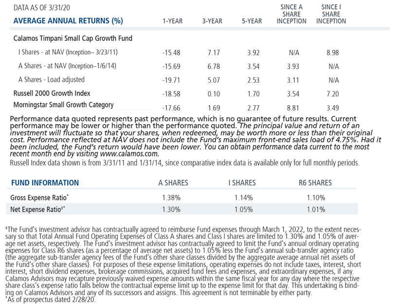 Timpani Small Cap average annual returns and expense ratio 3-31-20