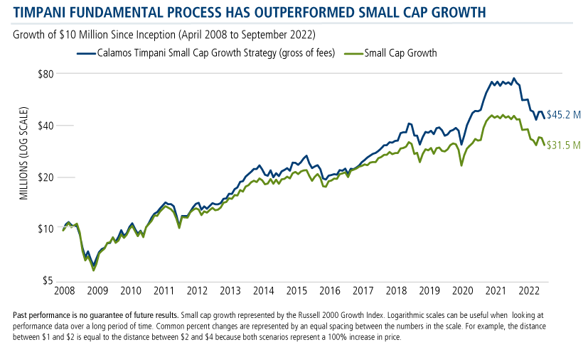 timpani fundamental process has outperformed small cap growth