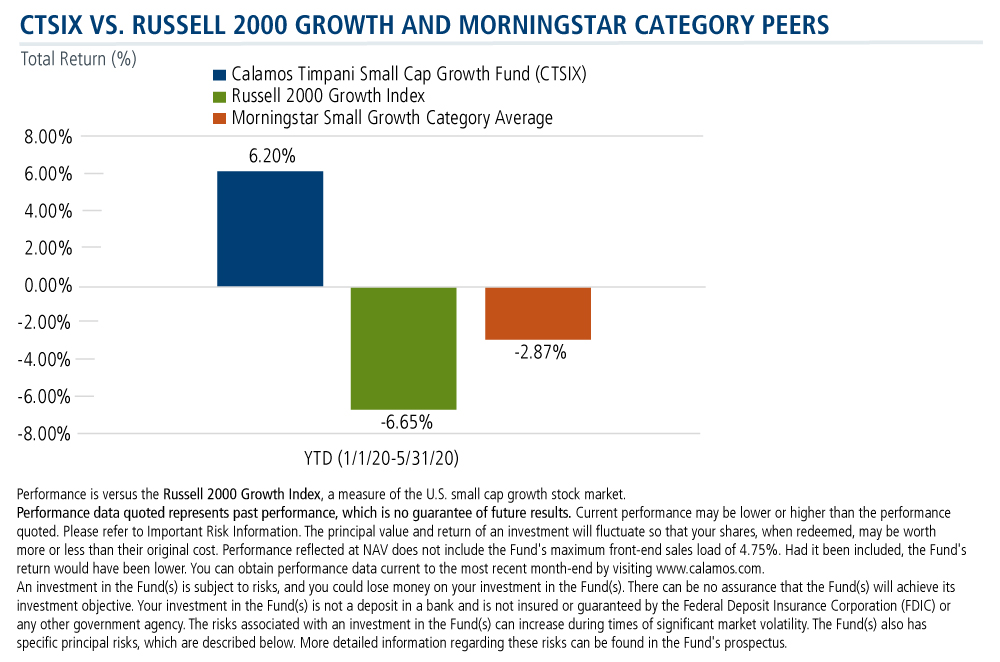 ctsix vs russell 2000 growth and morningstar category peers