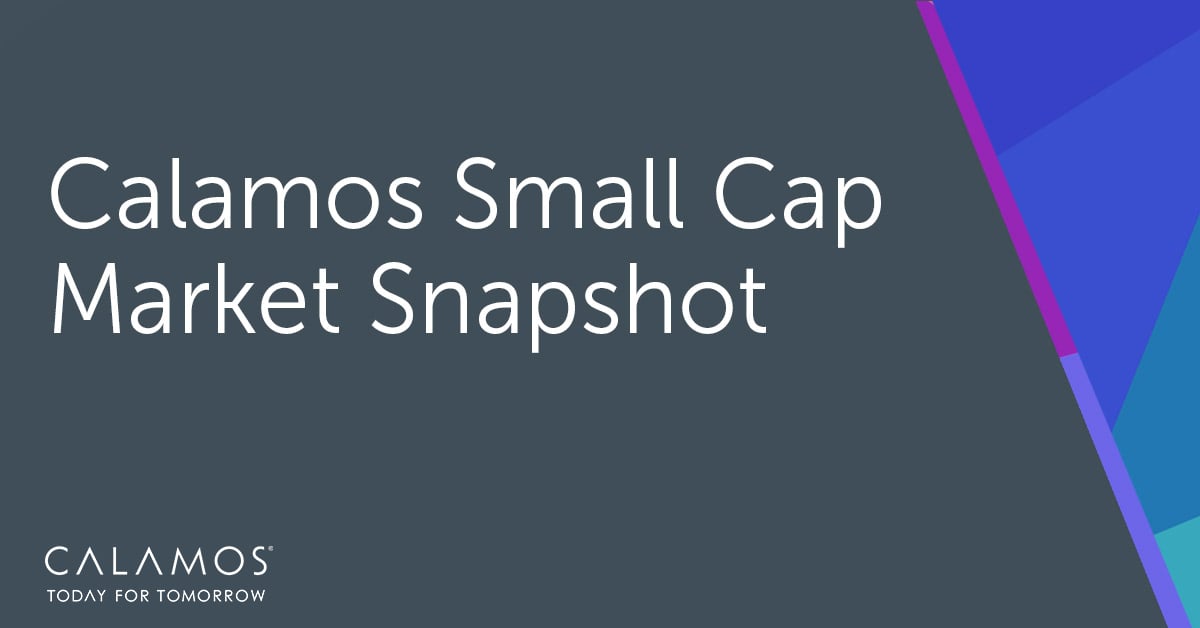 small cap market snapshot