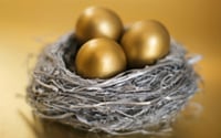 Golden eggs in a bird's nest